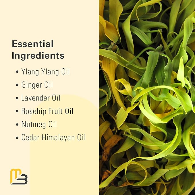 Ylang Ylang + Ginger Lymphatic Drainage Massage Oil – with Collagen & Stem Cells for Circulation, Detox & Cellulite Removal – Body Oil for Muscle Relief, Skin Firming & Relaxation – 8oz by M3