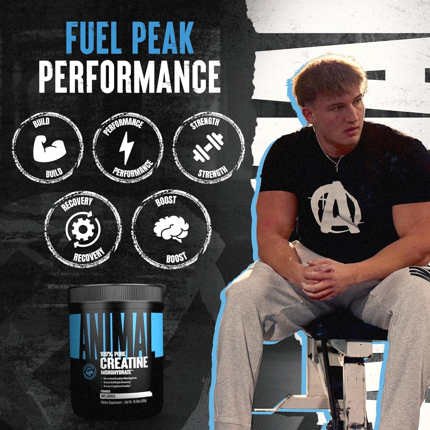 Animal Creatine Monohydrate Powder – Micronized Creatine for Women and Men, Supports Muscle Growth, Strength, Endurance, Recovery and ATP Production, Gym & Workout Supplements - Unflavored, 300g