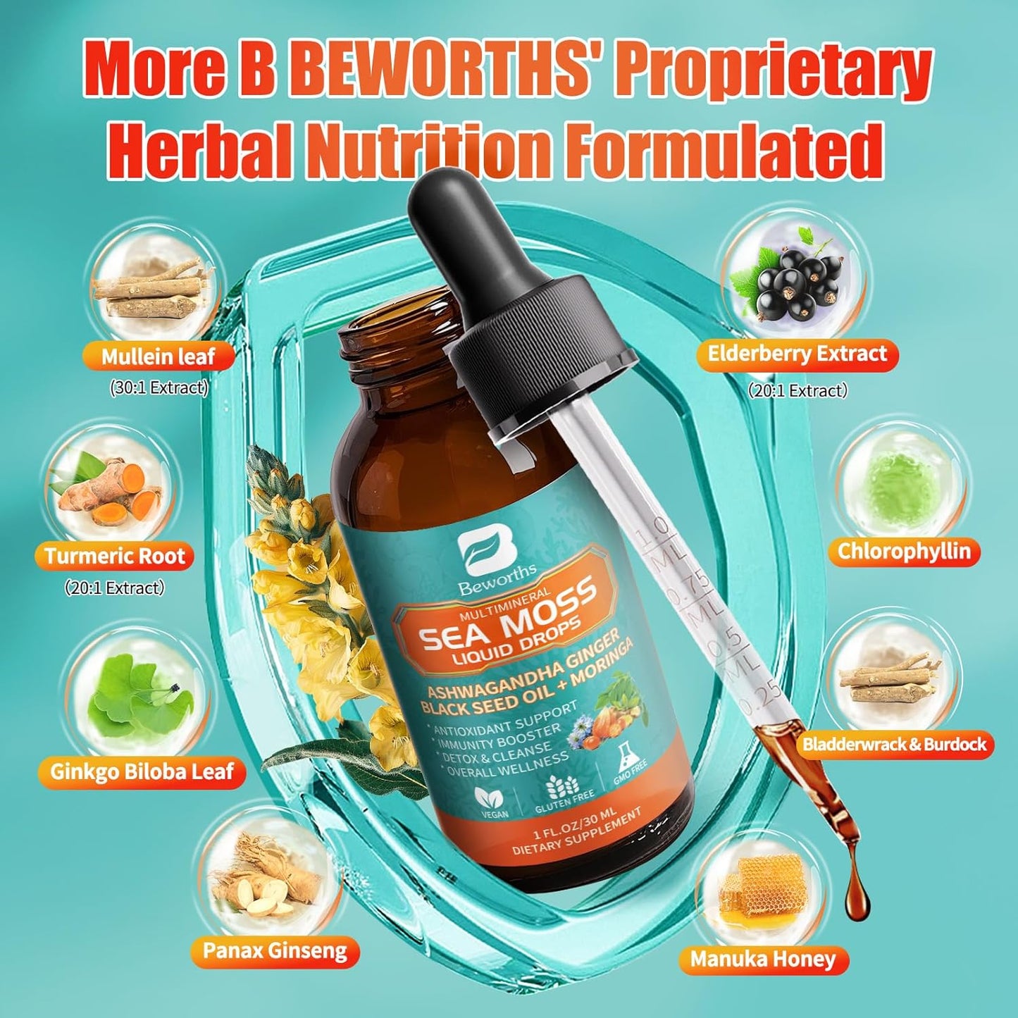 2PACK Sea Moss Drops - Irish Sea Moss Chlorophyll Liquid with Black Seed Oil, Ashwagandha, Moringa, Turmeric, Elderberry, Mullein, Seamoss Gel Supplement for Lung Cleaner, Detox & Gut, Immune Support