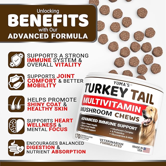 Turkey Tail Mushroom for Dogs - 170 Count - Mushroom Chews for Dogs Lipoma Lumps and Bumps - Immune Health, Digestive, Skin, Energy, Joint Vitamin Support Guard Buddy - Multivitamin Supplement