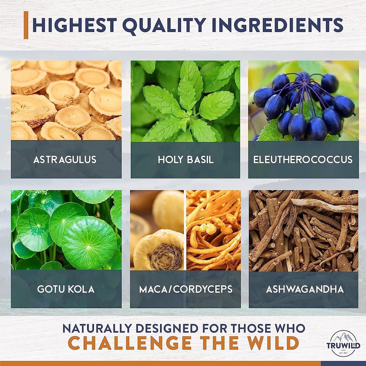 TruWild Adaptogens Vegan Capsule Supplement w/Ashwagandha + Maca w/Full Spectrum Mushrooms – All Natural – 40 Servings