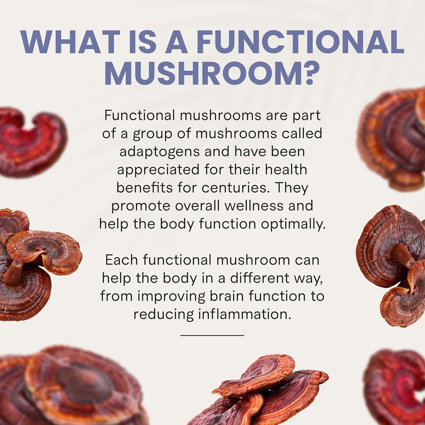 Charlotte's Web Stress Support Mushroom Gummies w/Reishi, Ashwagandha, Rhodiola Rosea Supplement — Natural Supplement — Strawberry-Flavored Ashwagandha Gummies (30 Servings)