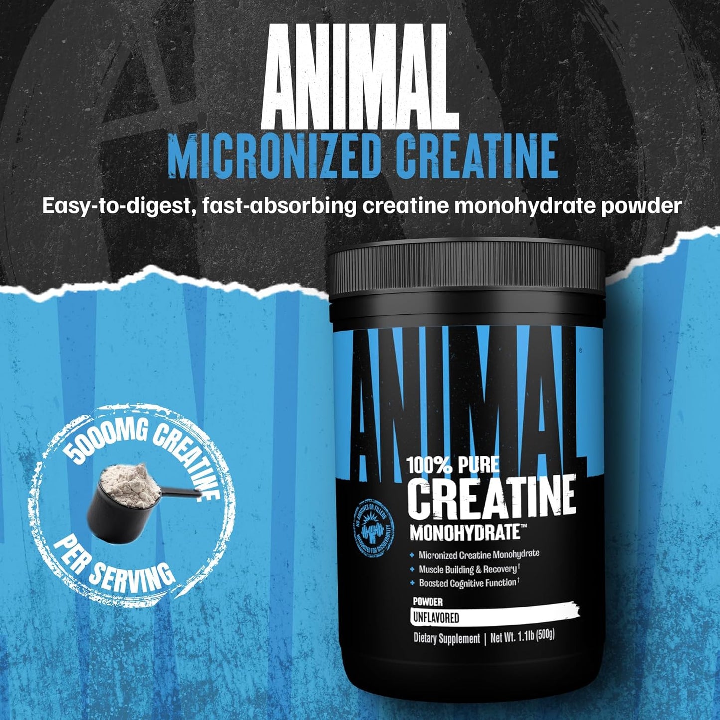Animal Creatine Monohydrate Powder - Micronized Creatine for Women and Men, Supports Muscle Growth, Strength, Endurance, Recovery and ATP Production, Gym & Workout Supplements - Unflavored, 500g