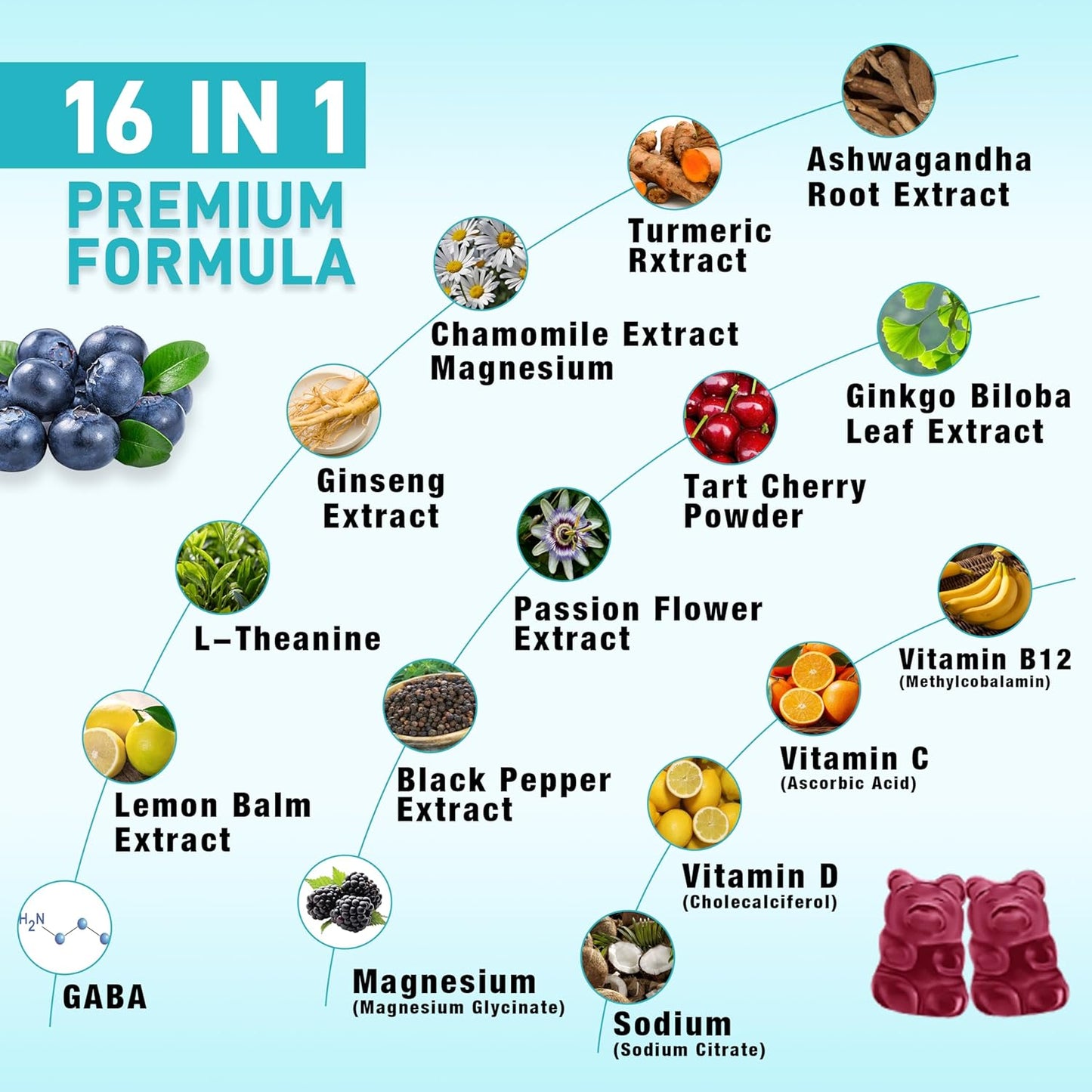 2 Pack Ashwagandha Gummies, Support for Immunity, Relaxation, Calm Mood & Zzz, Ashwagandha Supplements for Men & Women, Natural Blueberry Flavor, 120 Count