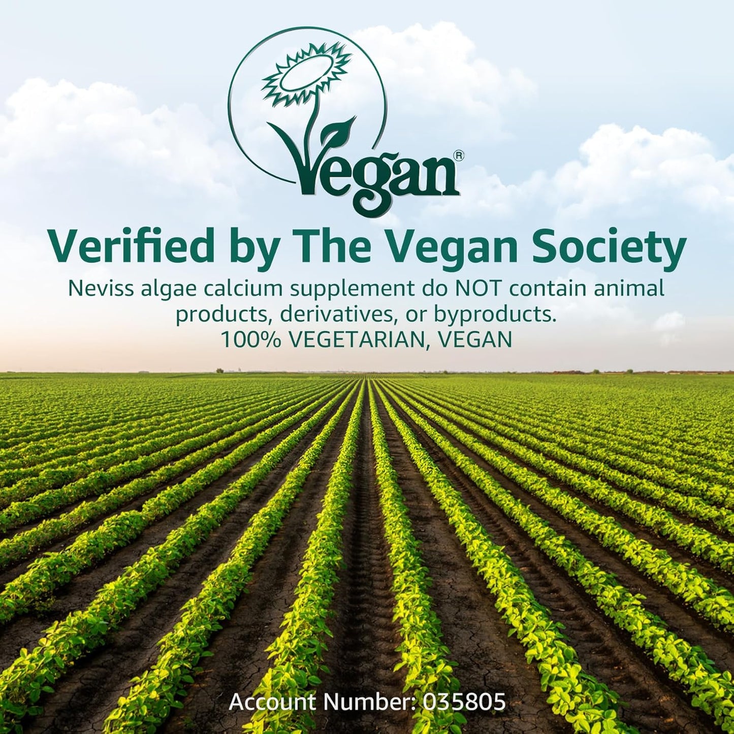 (2 Pack) Calcium Gummies for Women, Sugar Free Calcium Supplement from Sustainable Algae (3rd Party Tested) with Vitamin D3 K2, C, Zinc, Boron, Manganese for Bone Strength, Calcium Absoption, Vegan