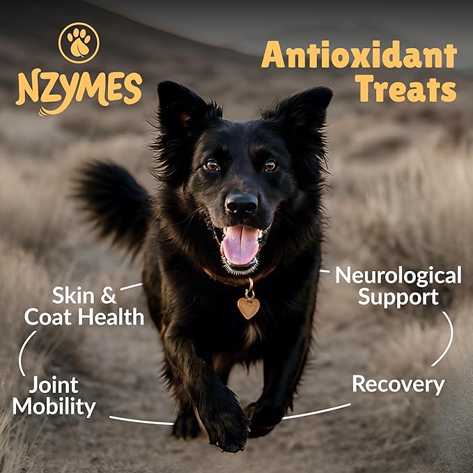 Nzymes® Antioxidant Treats - for Dogs Joints, HIPS, Paralysis, Skin, Coat, Hair Loss, Aging, Digestion, Neurological, Seizures - 120 Treats - Made in The USA