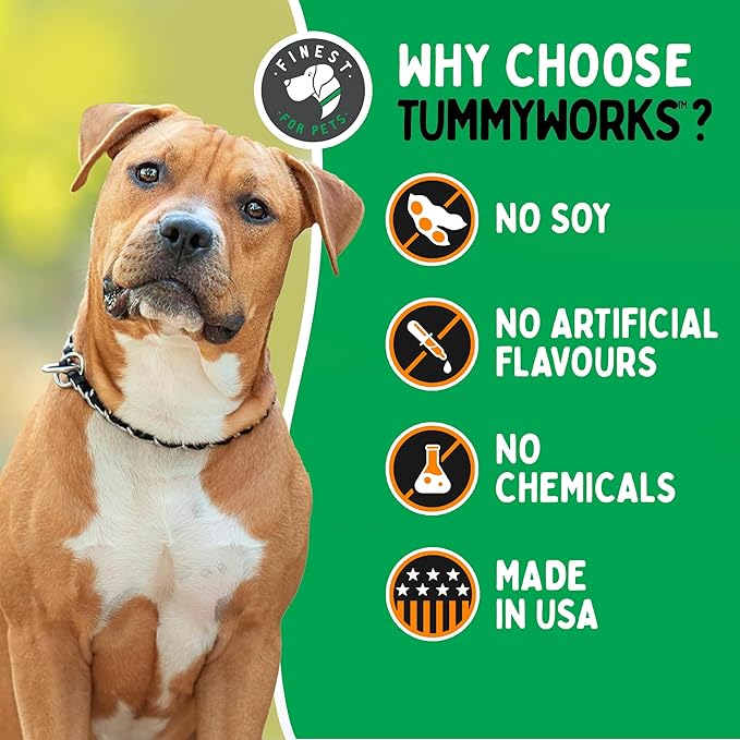 TummyWorks Probiotics for Dogs. 120 Probiotic Soft Chews for Digestive Health, Gut, Immunity, Energy, Allergies, Skin & Coat. 10 Strains, 5 Billion CFUs with 6 Enzymes. Made in USA