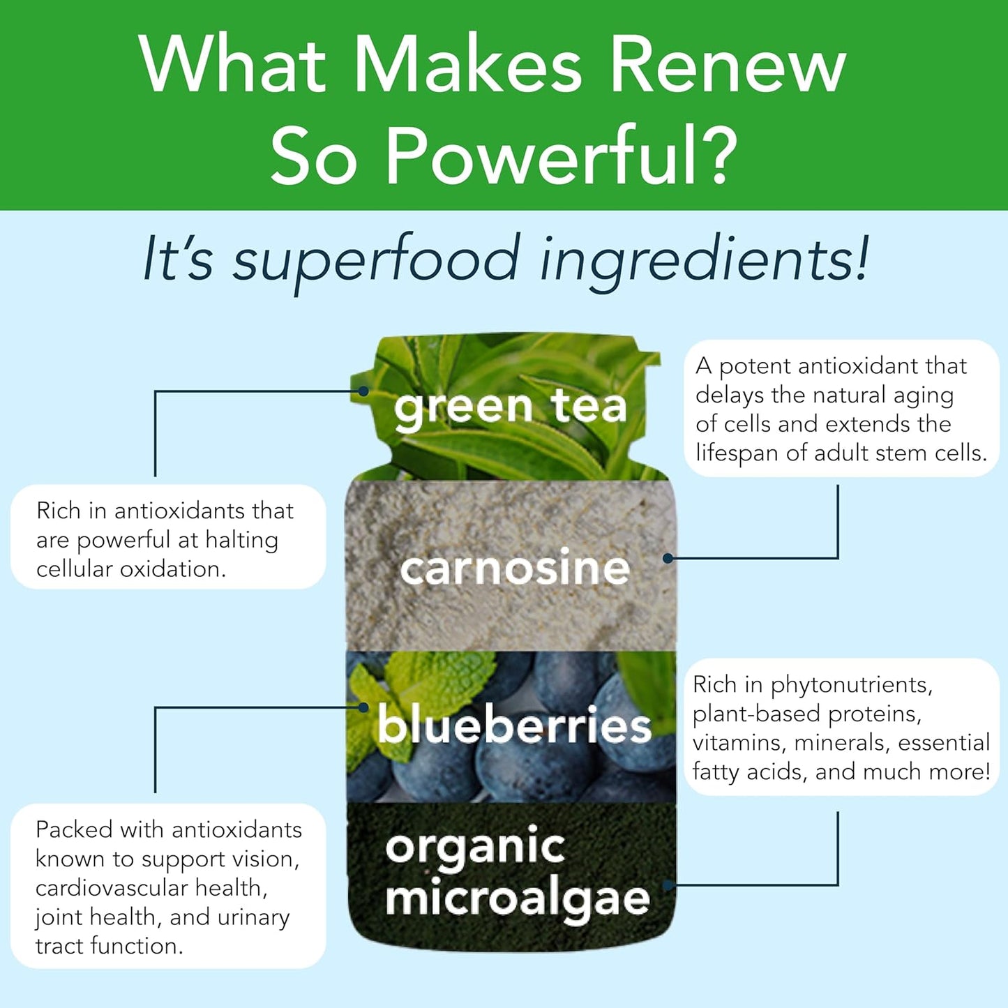 New Earth Renew - Support Cellular Health & Healthy Aging | Stem Cell Support Supplement with Antioxidants & Superfoods - 60 Capsules