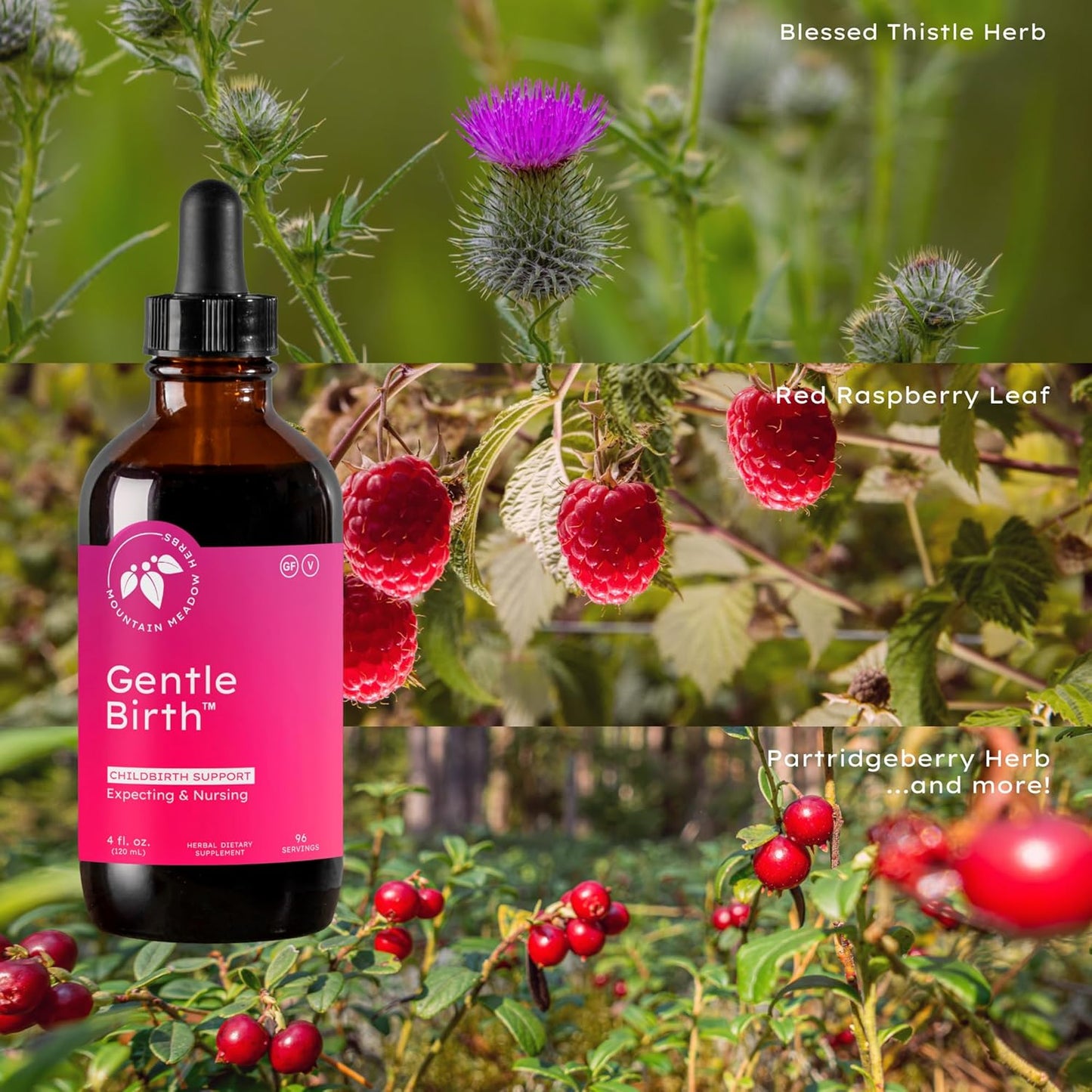 Mountain Meadow Herbs Gentle Birth for Birth Prep/Labor Prep, Fast Acting Liquid Herbal Extract for Childbirth Support - 4oz