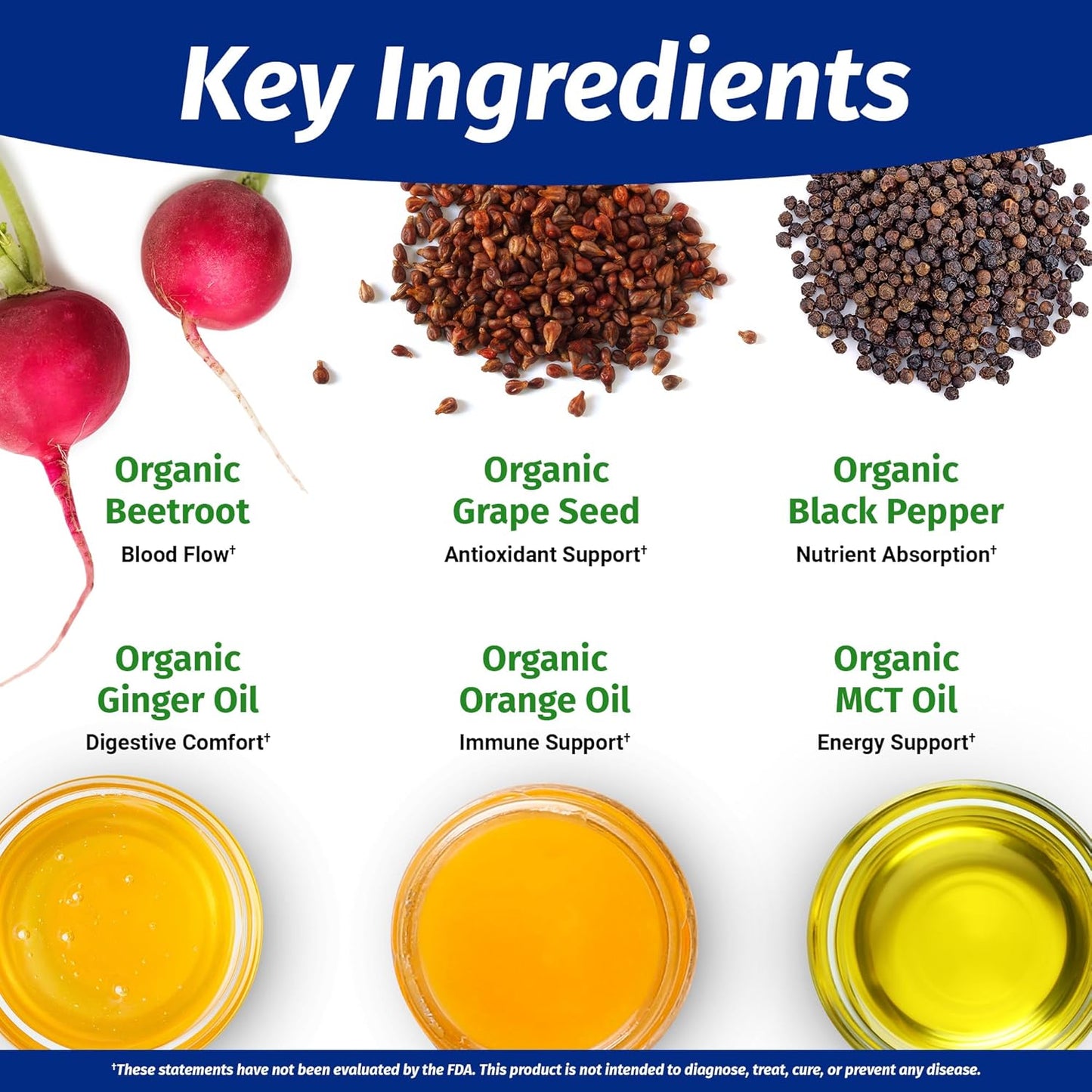 1 Body Beet Vital, Organic Beetroot Capsules for Circulation, Energy, & Stamina, Nitric Oxide Booster Beets Supplements with 1360mg Beetroot Extract, Vegan, Non-GMO - Beet Root Supplements, 60 Count