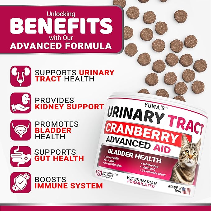Cat Urinary Tract Health - Cranberry Supplement for Cats - Promotes Healthy Digestion & Normal Bladder Function - Probiotics - Vitamins and Food Supplements - Immune & Multivitamin Support Chews