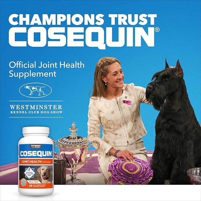 Nutramax Cosequin for Senior Dogs Joint Health Supplement, Contains Glucosamine for Dogs, Chondroitin, MSM, Omega-3s and Beta-Glucan, Supports Joint, Skin and Coat, Immune Health, Soft Chews, 60 Count