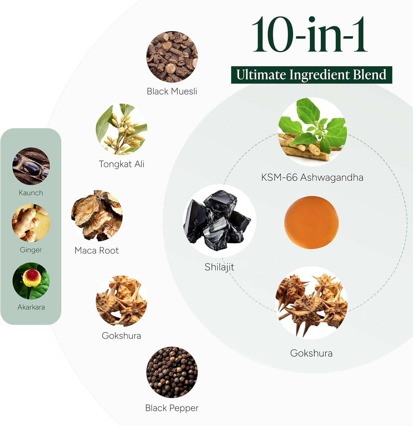 10-in-1 Alpha Shilajit Gummies | 4000 mg Pure Himalayan Shilajit, Tongkat Ali, Maca Root, 75% Fulvic Acid | ShilAbsorb Bioavailability Tech | Sugar-Free Vegan, 85+ Trace Minerals | 60 Pack