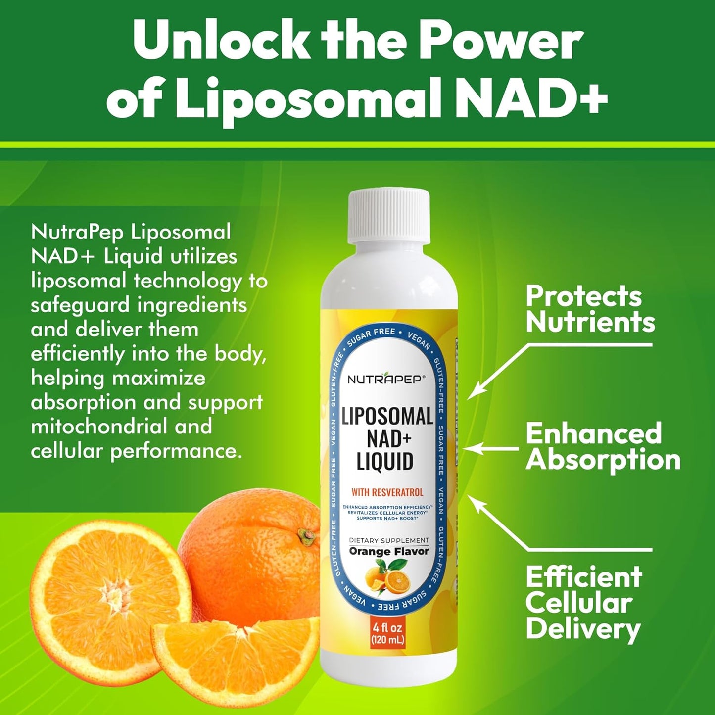 NAD+ Liquid Supplement - Liposomal NAD+ Boost for Healthy Aging Longevity & Cellular Energy - Nicotinamide & Resveratrol Complex for Brain & Mitochondrial Support - Vegan Sugar Free 4 fl oz