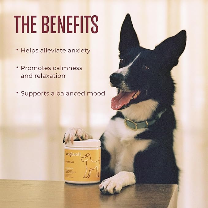 WagWell Dog Calming Chews – Vet-formulated, All Natural, Made in The USA – Anxiety Relief for Dogs, Supports Emotional Balance in Stressful Situations – Chicken-Flavored, 60 Chews