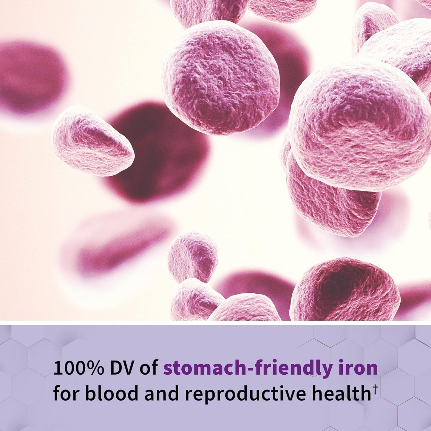 Garden Of Life, Raw Vitamin Code Prenatal 90 Organic, 90 Count