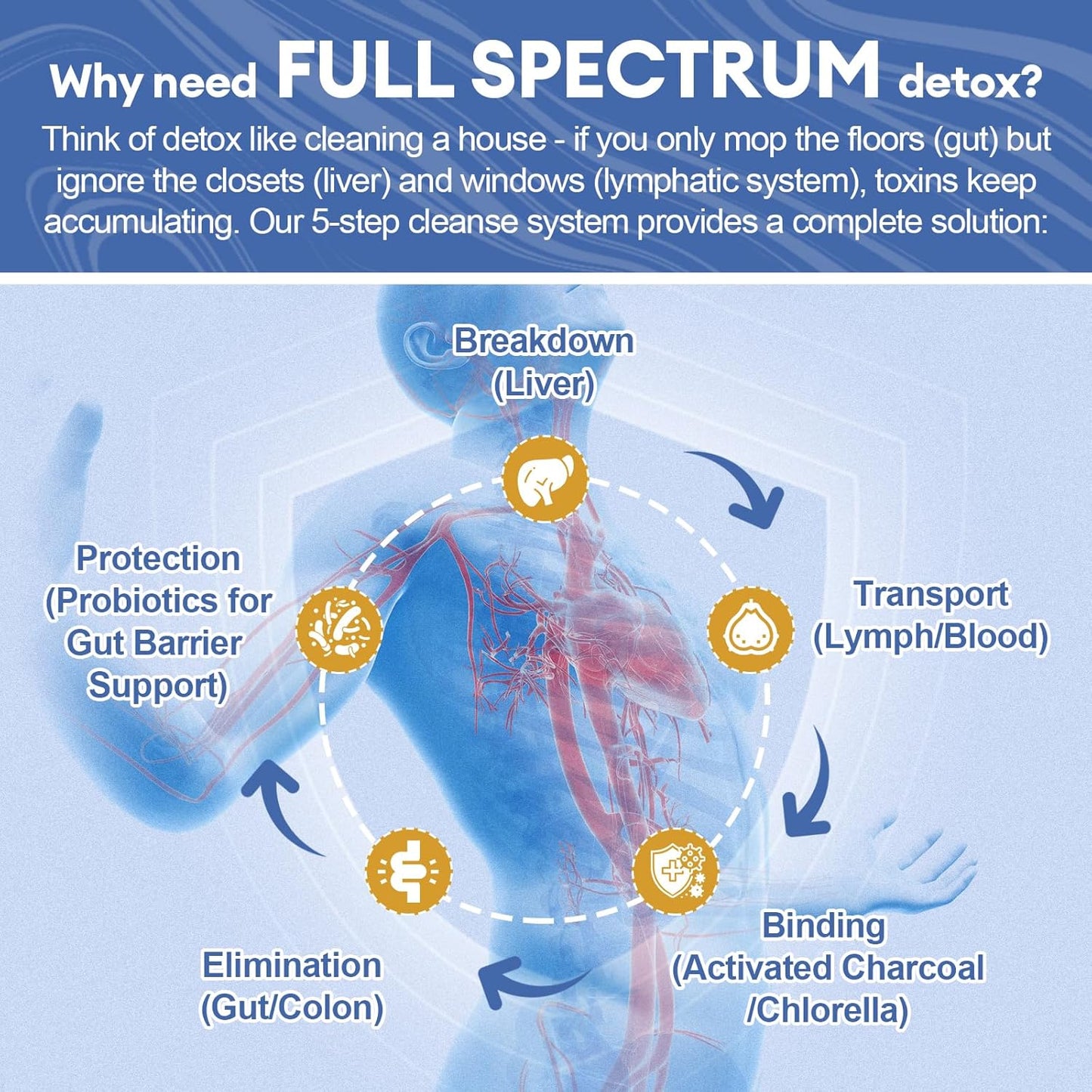 29-in-1 Full Spectrum Detox Powder – Liver, Lymph, Colon & Gut Cleanse with Milk Thistle, NAC, Zeolite & Probiotics – Complete Body Cleanse Supplement for Women & Men – 30 Servings