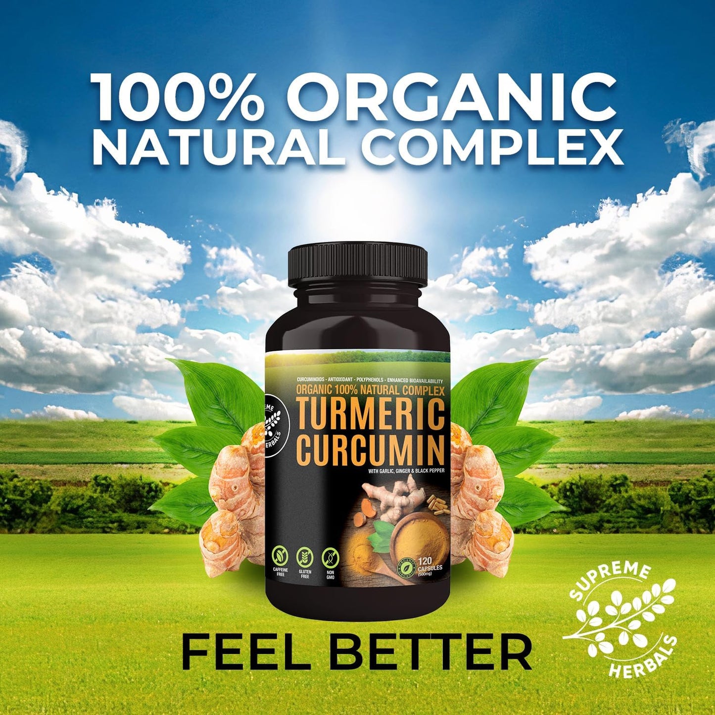 100% Raw and Organic Turmeric Curcumin Capsules. Certified Organic, Gluten-Free, Non-GMO, and Caffeine-Free. Enhanced with Garlic, Ginger and Black Pepper, 500mg, 120 Vegan Capsules