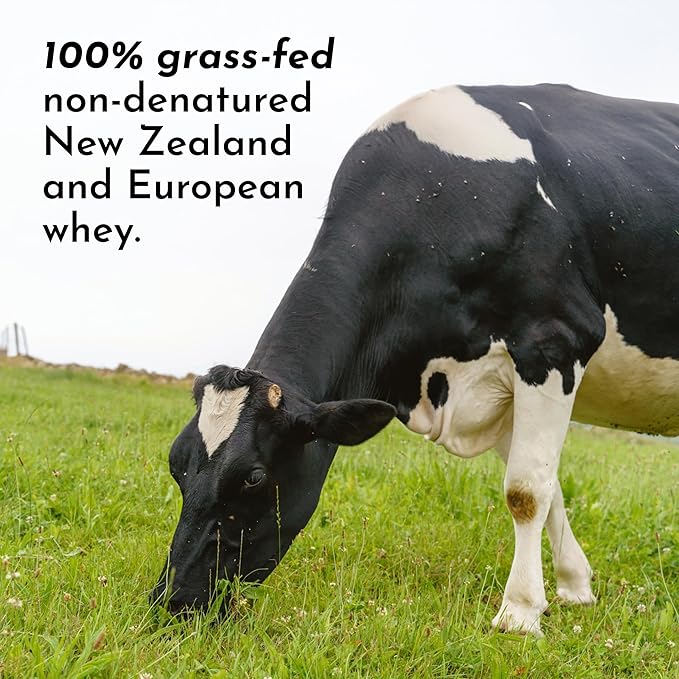 Mint Chocolate Protein Powder | 15 Servings | 24g Grass-Fed New Zealand Whey + 4 Additional Protein Sources | No Added Sugar | Naturally Sweetened | No Gums or Fillers | Casein-Free Blend