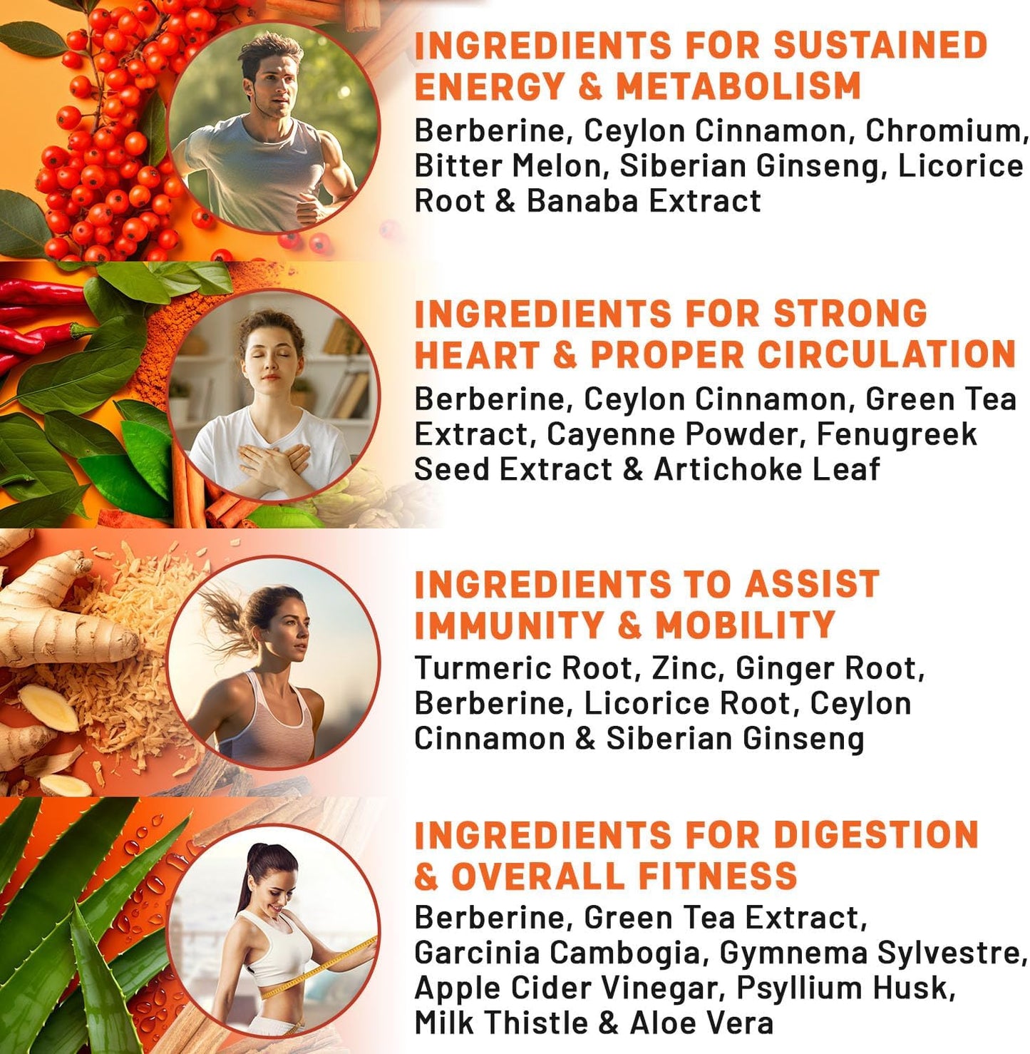 21-in-1 Berberine Supplement with Ceylon Cinnamon with Chromium, Bitter Melon and Green Tea Extract and Black Pepper Extract 5X for Energy & Metabolism Support with 5279 mg (120 ct, Pack of 4)