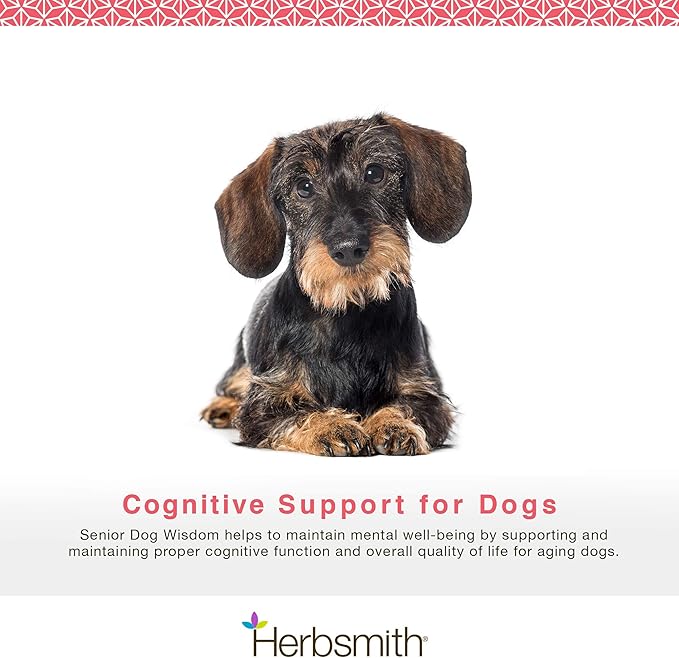 Herbsmith Senior Dog Wisdom – Dog Dementia Supplement – DHA for Senior Dog Brain Health - Senior Supplement for Dogs- 150g