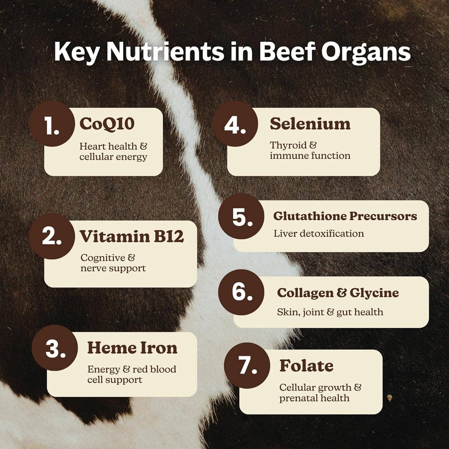 MK Supplements – Grass-Fed Beef Organs 3000 mg, 180 Beef Organs Capsules, Multivitamin, 100% Pasture-Raised in New Zealand, 45-Day Supply, Liver, Heart, Kidney, Spleen, Pancreas