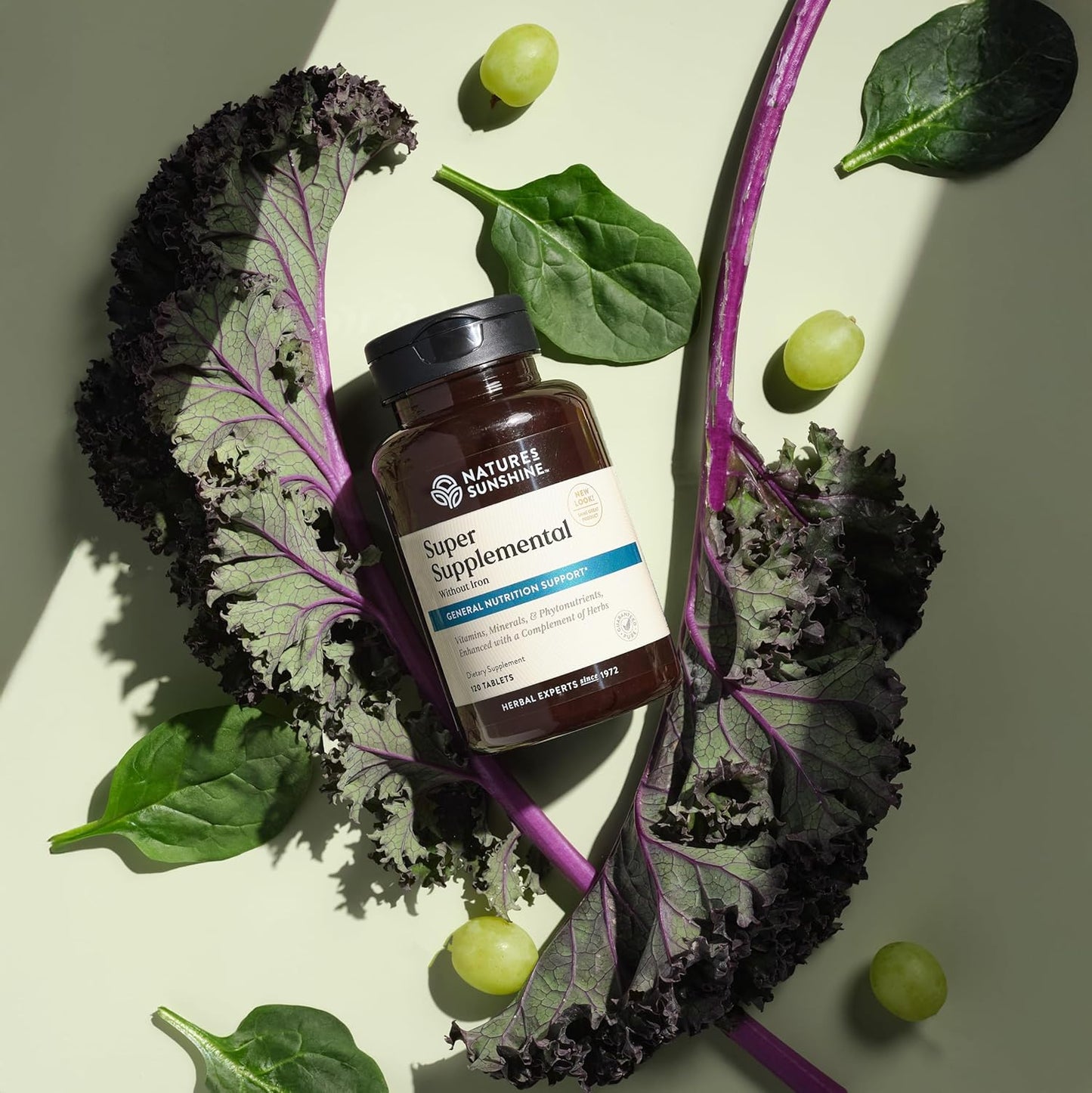 Nature's Sunshine Super Supplemental w/o Iron: Complete Multivitamin with Minerals, Antioxidants & More for Nutritional Gaps, Overall Health, Immune & Energy Support. 120 Tabs