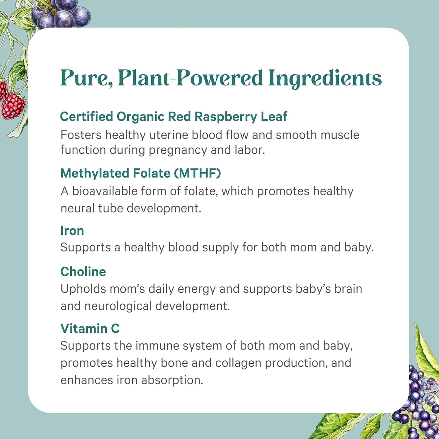 PURE SYNERGY PureNatal Prenatal Vitamins | Vegan Supplement Made with Organic Whole Foods | with Natural Iron, Folate, and Choline | for Pre-Conception, Pregnancy and Breastfeeding (120 Tablets)