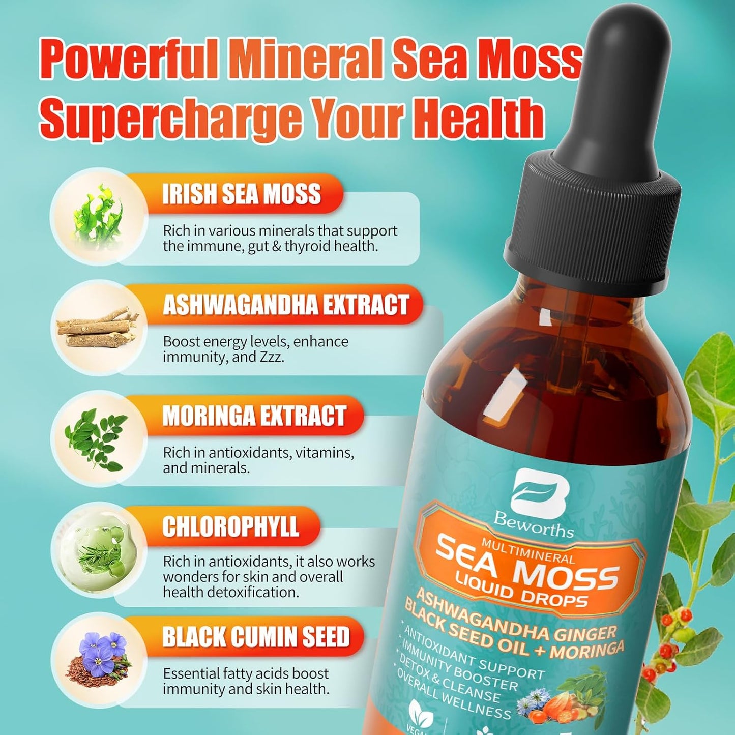 2PACK Sea Moss Drops - Irish Sea Moss Chlorophyll Liquid with Black Seed Oil, Ashwagandha, Moringa, Turmeric, Elderberry, Mullein, Seamoss Gel Supplement for Lung Cleaner, Detox & Gut, Immune Support