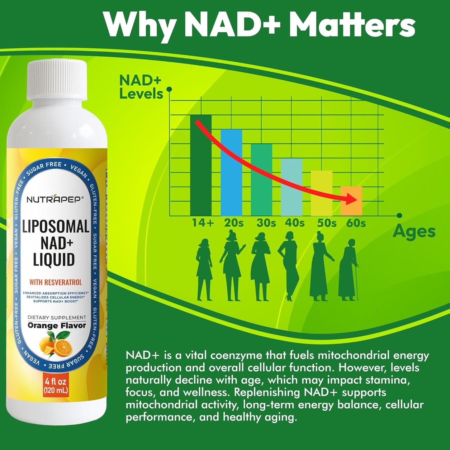NAD+ Liquid Supplement - Liposomal NAD+ Boost for Healthy Aging Longevity & Cellular Energy - Nicotinamide & Resveratrol Complex for Brain & Mitochondrial Support - Vegan Sugar Free 4 fl oz