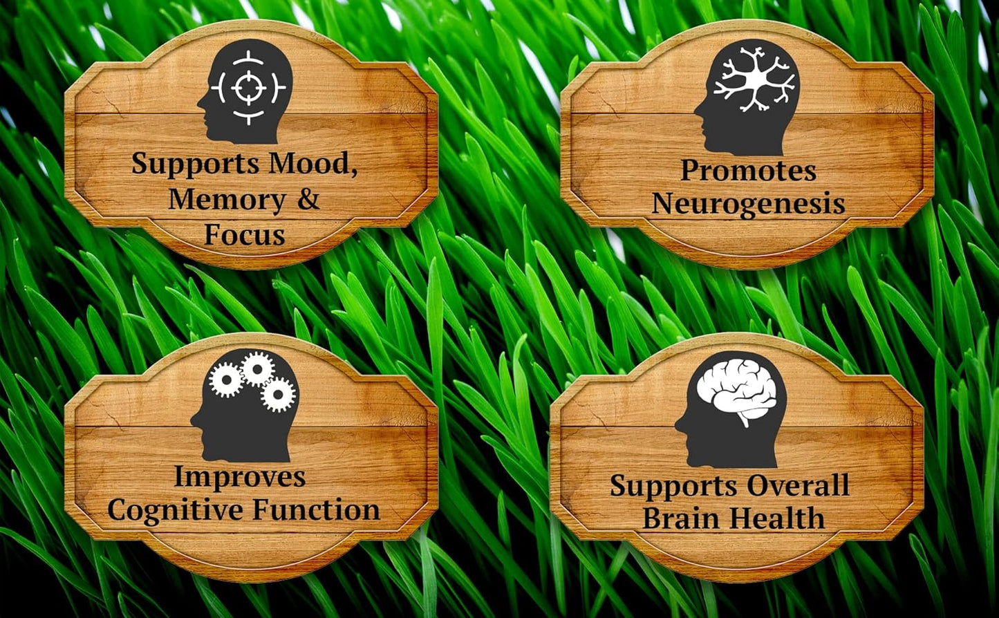 Primal Being Grassfed Beef Brain, Supports Memory, Mood, Focus, Energy, Cognitive Health - 90 Capsules, 1500mg per Serving