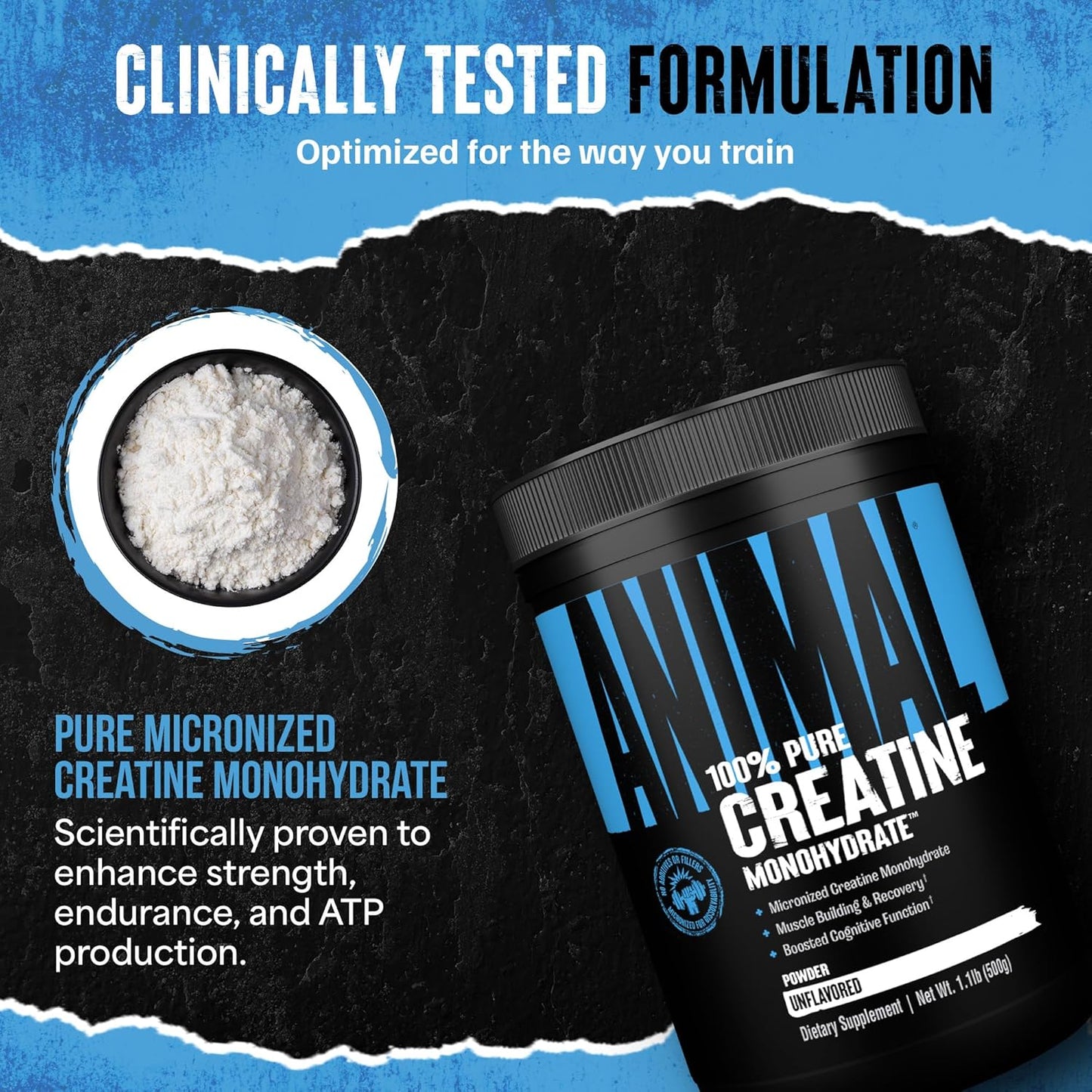 Animal Creatine Monohydrate Powder - Micronized Creatine for Women and Men, Supports Muscle Growth, Strength, Endurance, Recovery and ATP Production, Gym & Workout Supplements - Unflavored, 500g