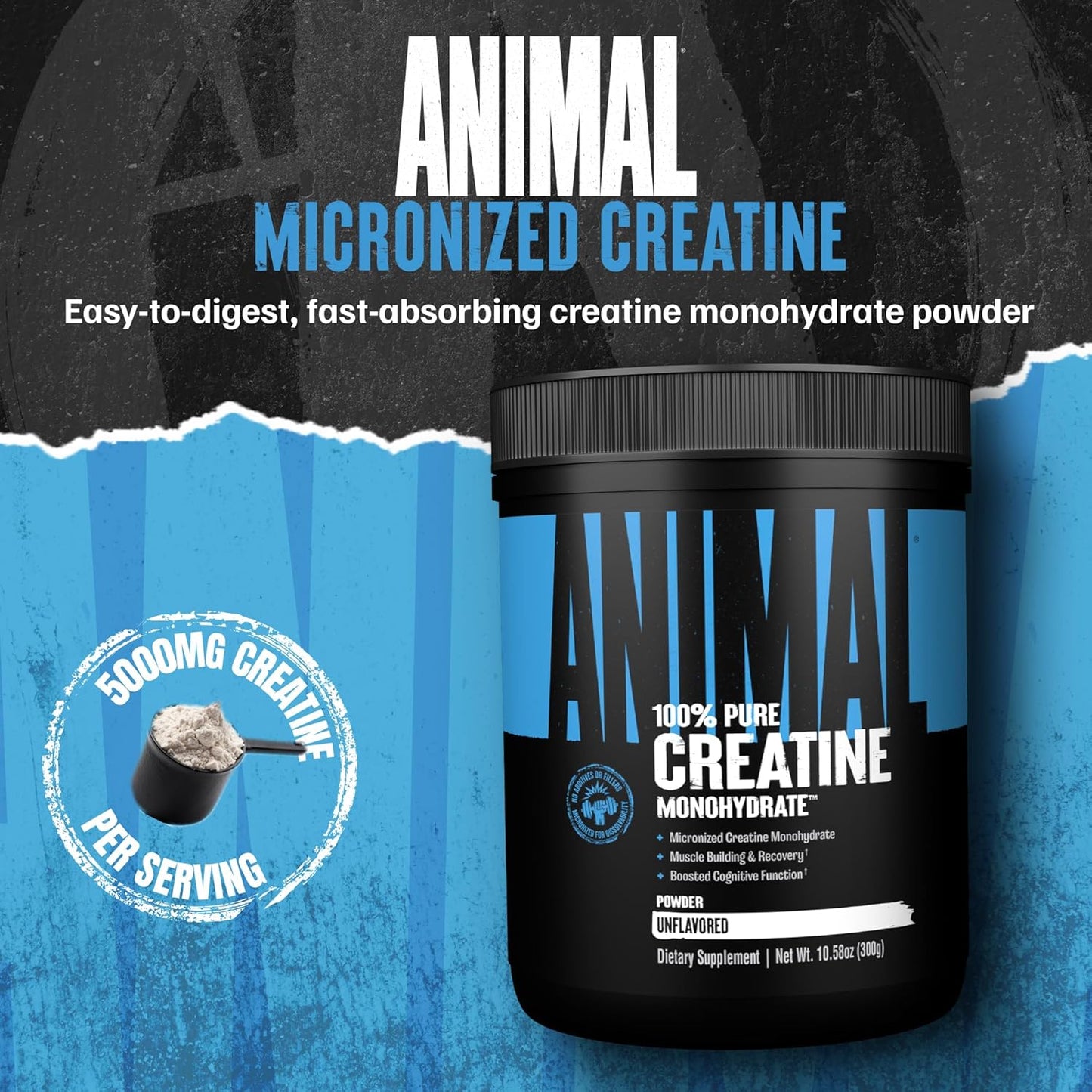 Animal Creatine Monohydrate Powder – Micronized Creatine for Women and Men, Supports Muscle Growth, Strength, Endurance, Recovery and ATP Production, Gym & Workout Supplements - Unflavored, 300g
