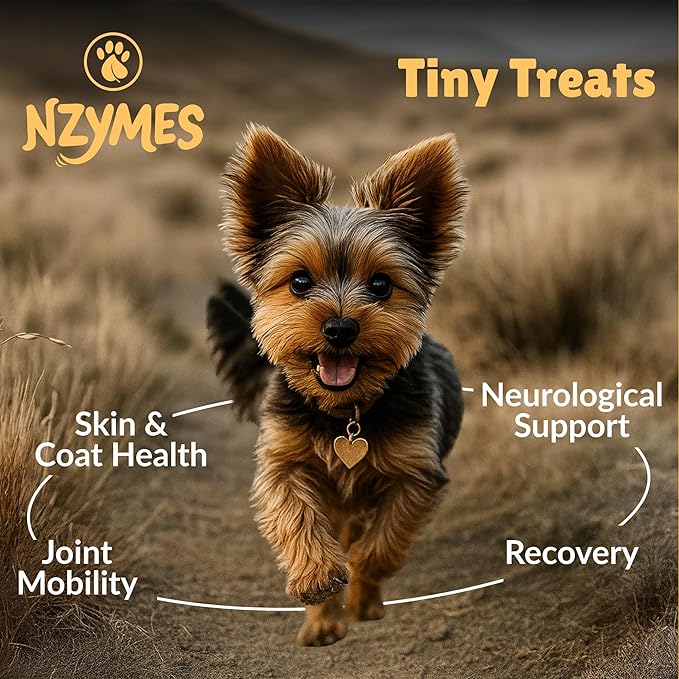 Nzymes® Antioxidant Tiny Treats - for Dogs Joints, HIPS, Paralysis, Skin, Coat, Hair Loss, Aging, Digestion, Seizures - Dog Treats for Small Dogs - 90 Treats - Made in The USA