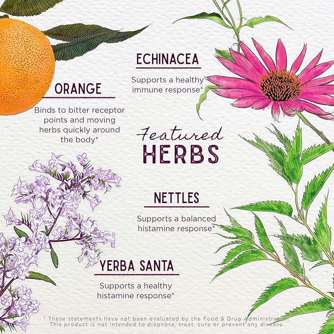 WishGarden Herbs Kick-Ass Allergy - Plant-Based Non-Drowsy Herbal Allergy Supplement with Nettle Leaf, Echinacea, & Yerba Santa, Supports Healthy Histamine Response to Seasonal Irritants, 2oz