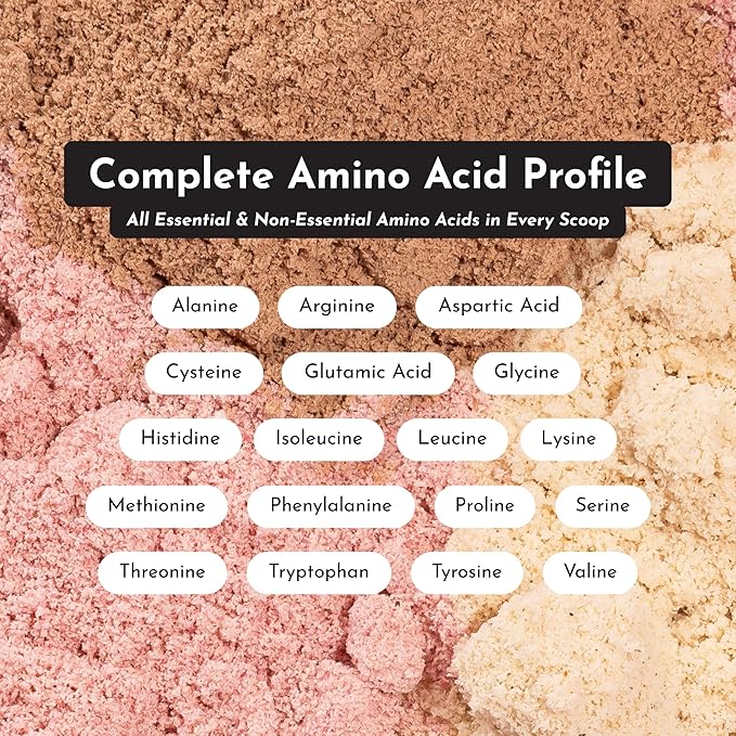 Mint Chocolate Protein Powder | 15 Servings | 24g Grass-Fed New Zealand Whey + 4 Additional Protein Sources | No Added Sugar | Naturally Sweetened | No Gums or Fillers | Casein-Free Blend