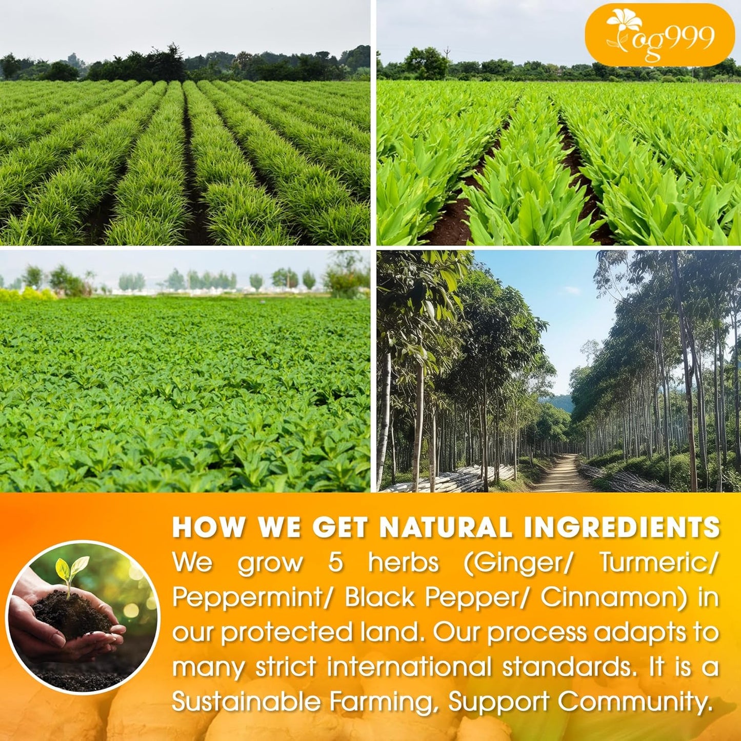 20 Tea Bags - Anti-Inflammaherb Loose Leaf Tea, 100% Natural from Ginger, Turmeric, Peppermint, Black Pepper, Cinnamon. No Sugar, No Caffeine, No Gluten, Vegan